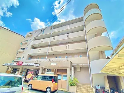 サマータイハイツの画像