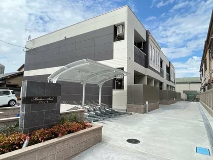 MSDISON SEEDの画像