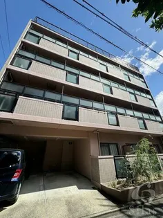 ピュア衣笠の画像