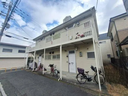 グレイスポムの画像