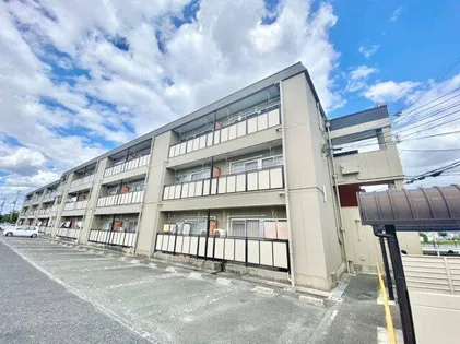 楠根スカイハイツの画像