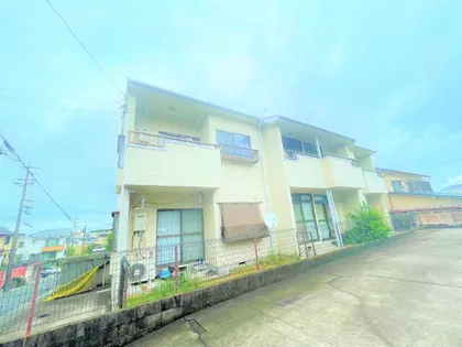 ムーニーツインクルIIの画像