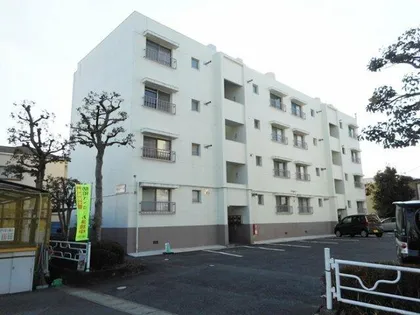 岩崎ハイツA棟【303号室】の外観