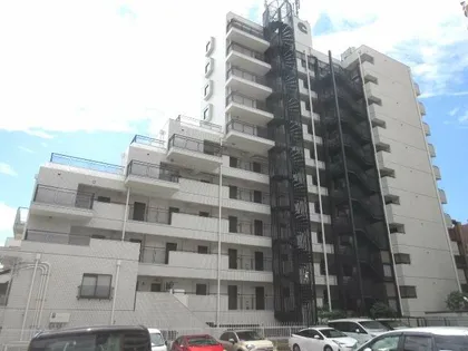 カサベラ岡本の画像