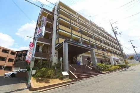 カレッジハイツディグニティー【4階】の外観