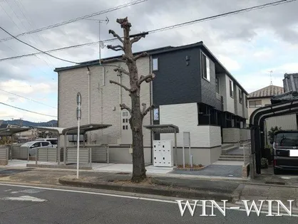 ブルースターの画像