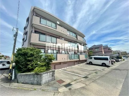 ウイング錦の画像