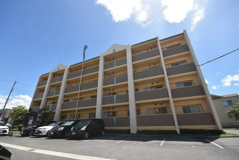 プリマベーラの画像