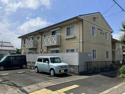 フレグランス蘭の画像