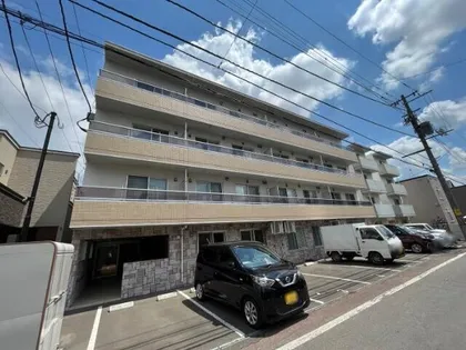 BILLS 桔梗KIKYOの画像