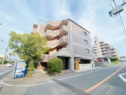 ドリームワンの画像