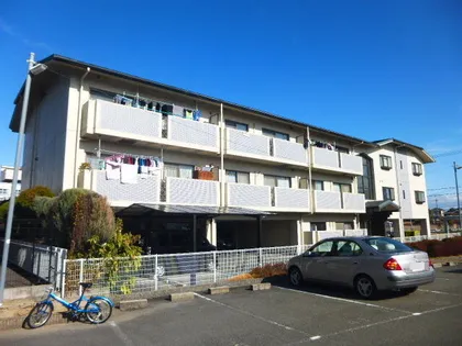 ラストラーダ大冠の画像