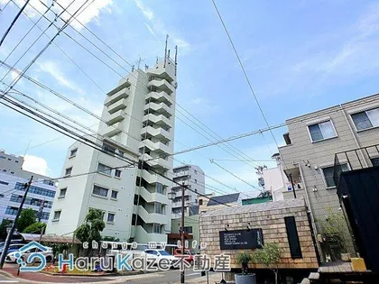 リージョン妙音の画像