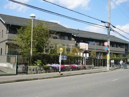 ピ ソ プリメーロの画像