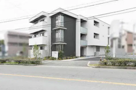 SHAMAISON CLAIRの画像