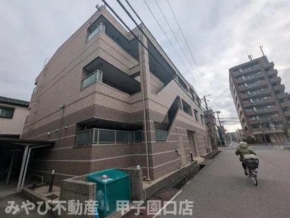 ネオグレースの画像