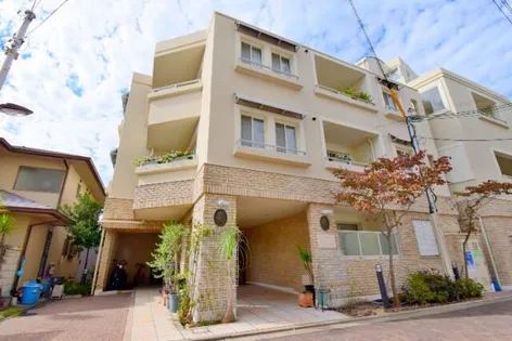 プリモルーチェの画像