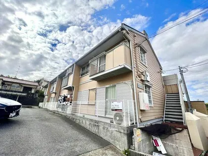 タウニィアマワカの画像