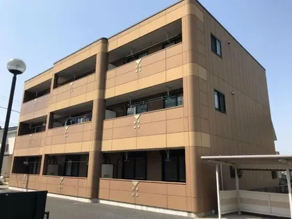 パピヨンの画像