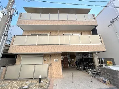 タイズコートクニジマの画像