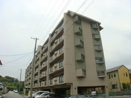 ルネ東辻井の画像