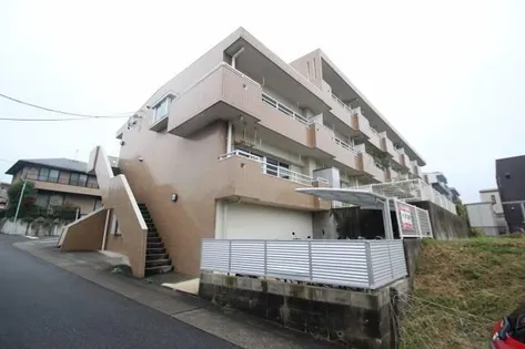 ドミール藤治の画像