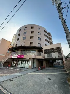 SUN CEDARの画像