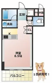 アーデンタワー南堀江【7階】の間取り