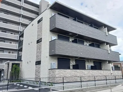 なでしこの画像