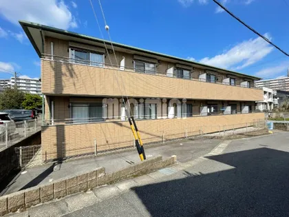 シャルム前後の画像