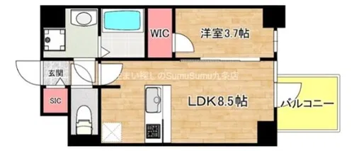 S-RESIDENCE阿波座chiaro【805号室】の間取り