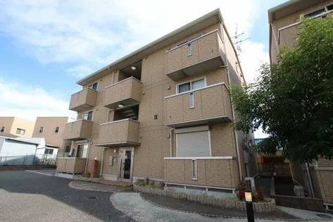 コーダ コリーナIIの画像