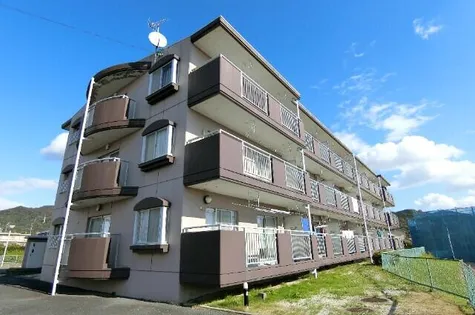 白山ハイツの画像