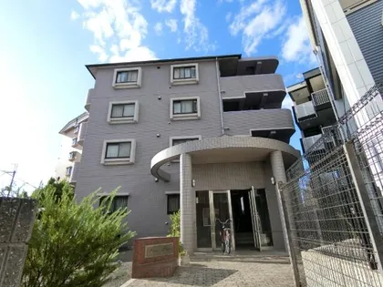 ピュアプレイスの画像