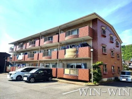 フローラ リヴェールの画像