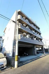 ドエル マルモの画像