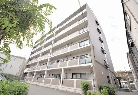 アイネ シェーネブルグの画像