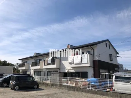 シンシア石橋の画像