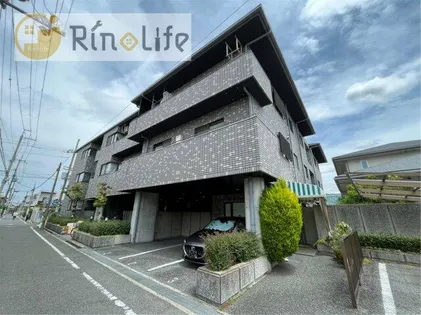 セルバ山本Iの画像