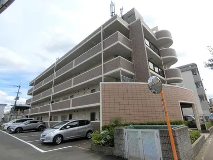 プラムディーセントの画像