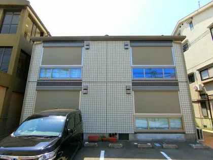 クリプトメリアの画像