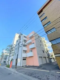 BRAMAの画像