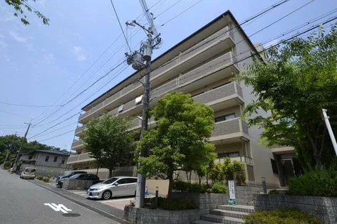 グミヒルズの画像