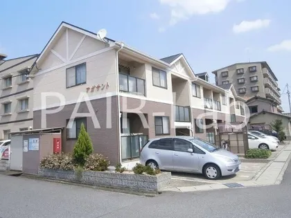 アガサントの画像