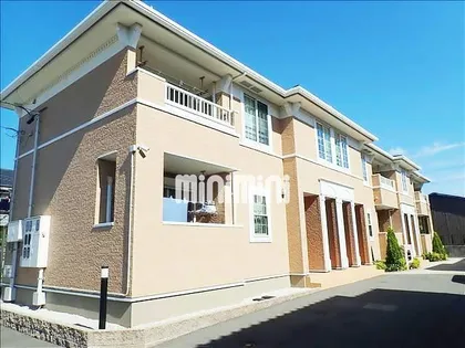 アドラーブル Yの画像