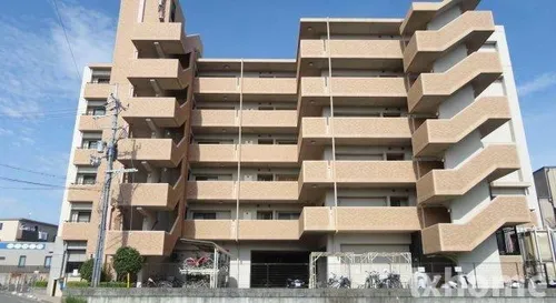 カモミール ブランの画像