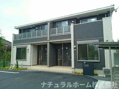 シャイン ブルーの画像