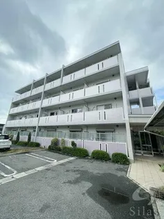 グランパレの画像