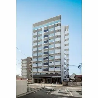 NEUA NARUMIの画像