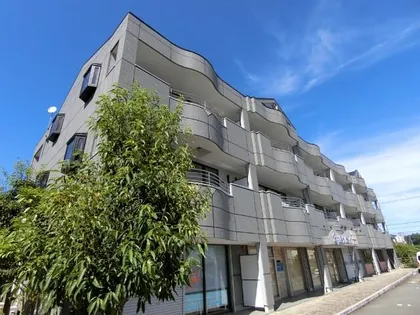 アンティーヴの画像